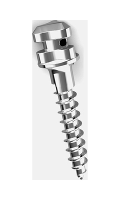 comprare Westlake Ortodontica Mini viti Legatura di Titanio 1.4x6 1.4x8 1.6x10 1.4x12 online manufacture